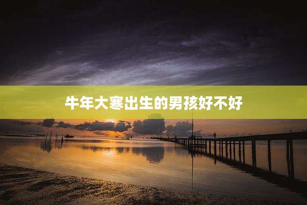 牛年大寒出生的男孩好不好