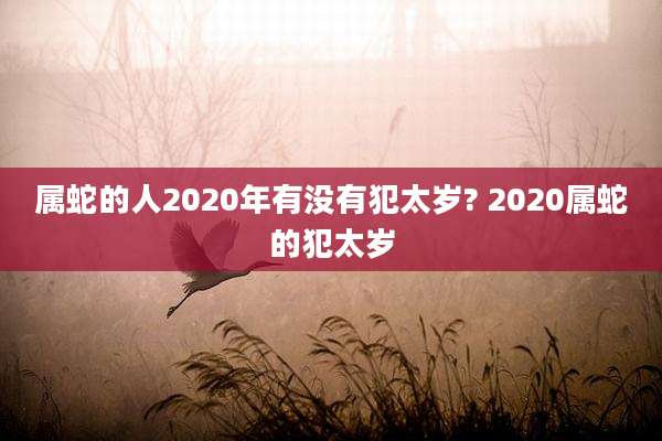 属蛇的人2020年有没有犯太岁? 2020属蛇的犯太岁
