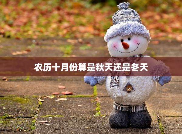 农历十月份算是秋天还是冬天