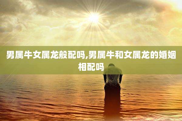 男属牛女属龙般配吗,男属牛和女属龙的婚姻相配吗