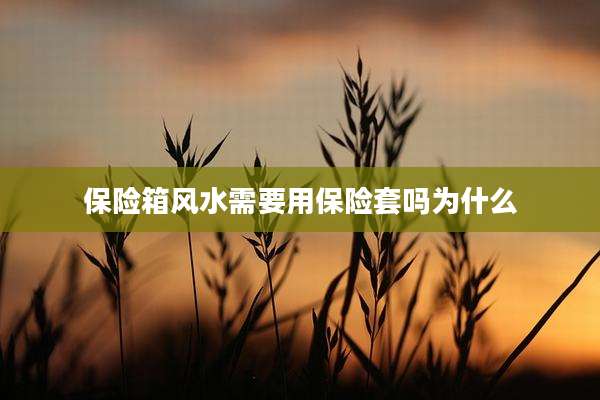 保险箱风水需要用保险套吗为什么