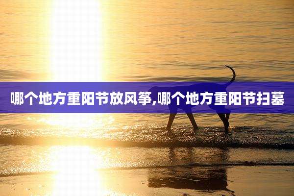 哪个地方重阳节放风筝,哪个地方重阳节扫墓