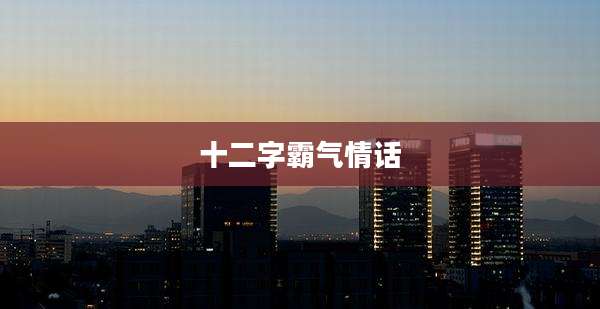 十二字霸气情话