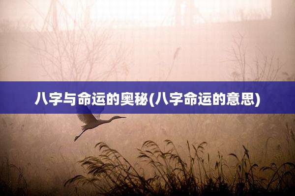 八字与命运的奥秘(八字命运的意思)