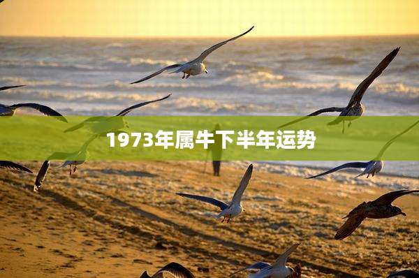 1973年属牛下半年运势