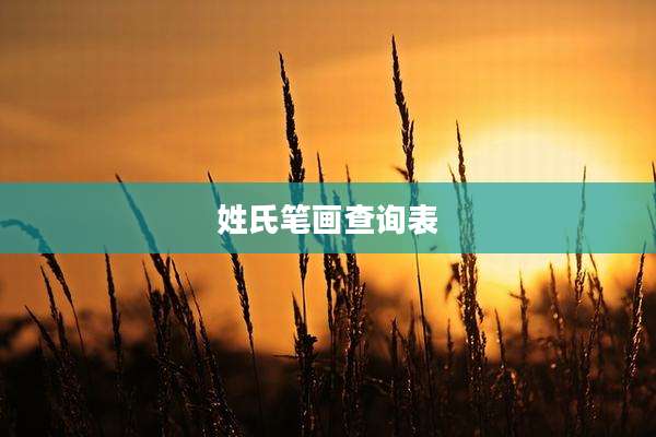 姓氏笔画查询表