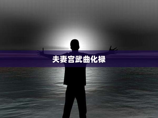 夫妻宫武曲化禄