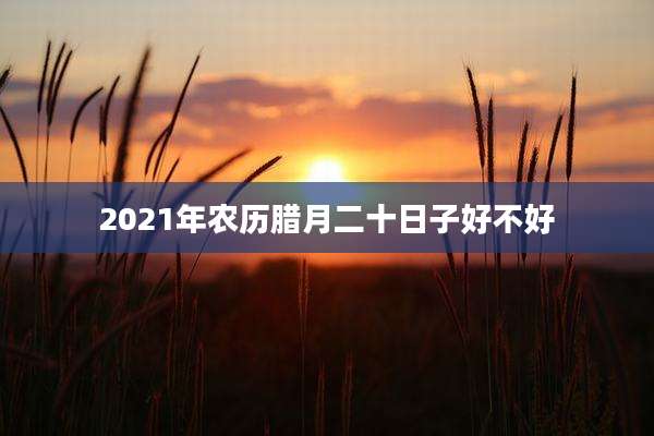 2021年农历腊月二十日子好不好