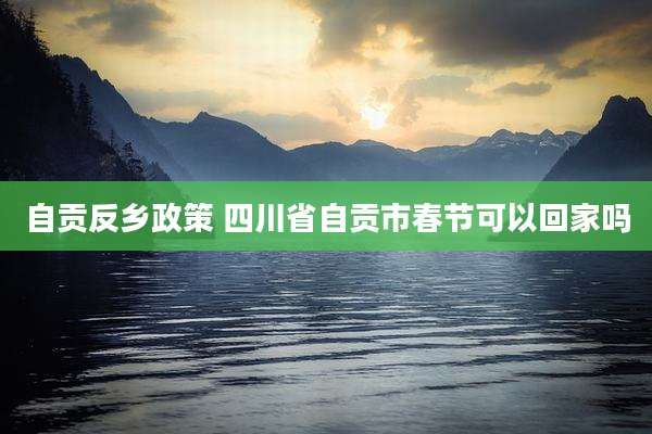 自贡反乡政策 四川省自贡市春节可以回家吗