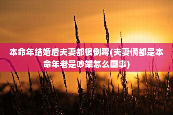 本命年结婚后夫妻都很倒霉(夫妻俩都是本命年老是吵架怎么回事)