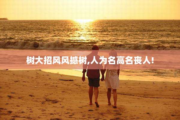 树大招风风撼树,人为名高名丧人!