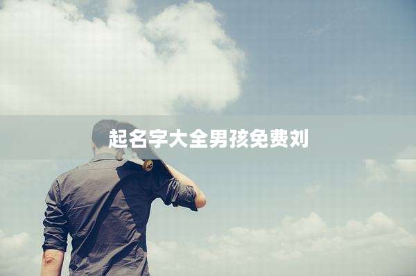 起名字大全男孩免费刘