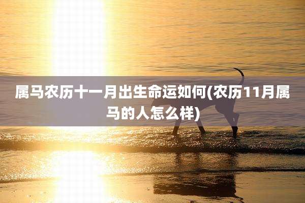 属马农历十一月出生命运如何(农历11月属马的人怎么样)