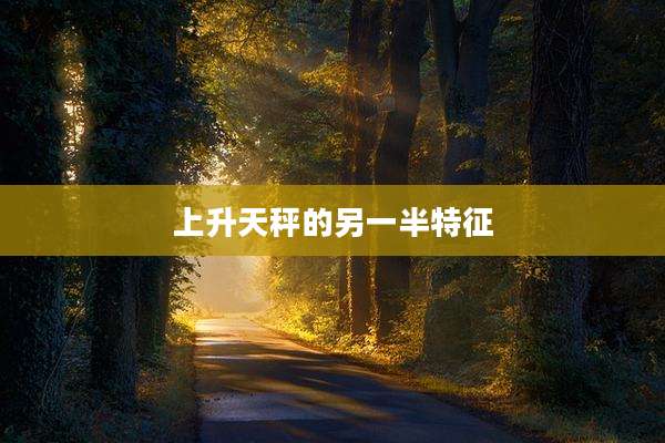 上升天秤的另一半特征