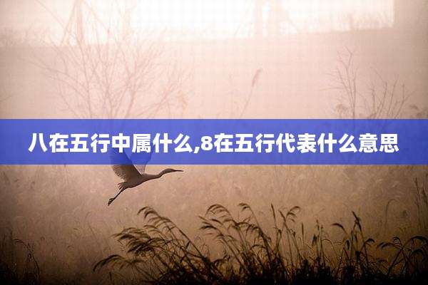 八在五行中属什么,8在五行代表什么意思