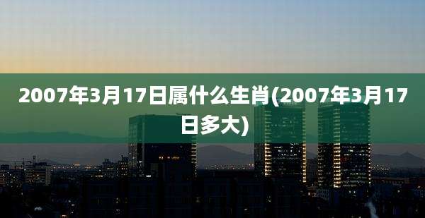 2007年3月17日属什么生肖(2007年3月17日多大)