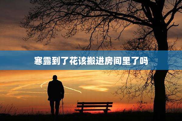寒露到了花该搬进房间里了吗