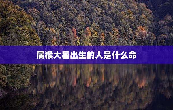 属猴大暑出生的人是什么命