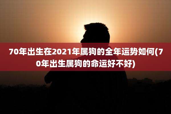 70年出生在2021年属狗的全年运势如何(70年出生属狗的命运好不好)