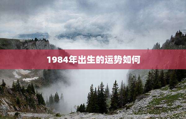 1984年出生的运势如何