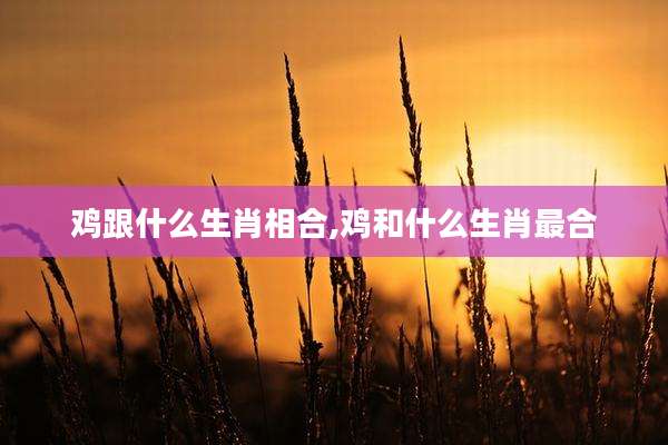 鸡跟什么生肖相合,鸡和什么生肖最合
