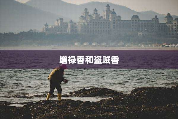 增禄香和盗贼香