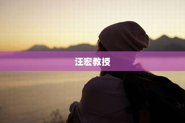 汪宏教授