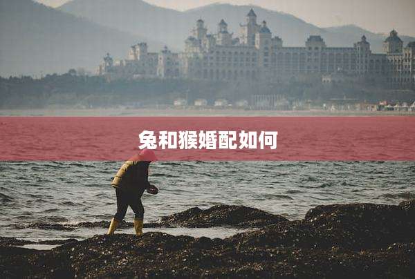 兔和猴婚配如何