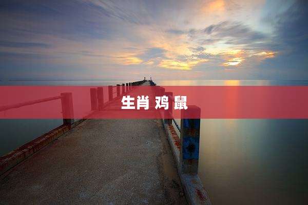 生肖 鸡 鼠