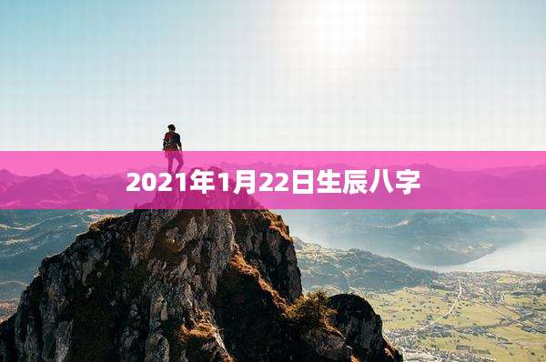2021年1月22日生辰八字