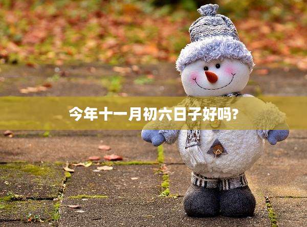 今年十一月初六日子好吗?