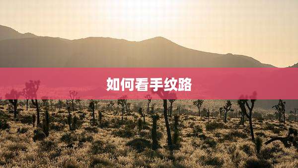 如何看手纹路