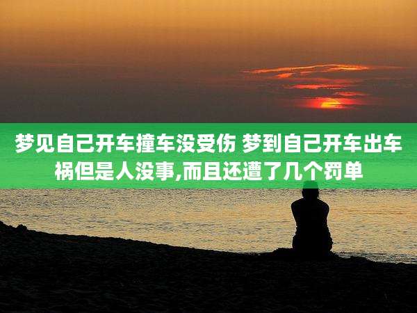 梦见自己开车撞车没受伤 梦到自己开车出车祸但是人没事,而且还遭了几个罚单