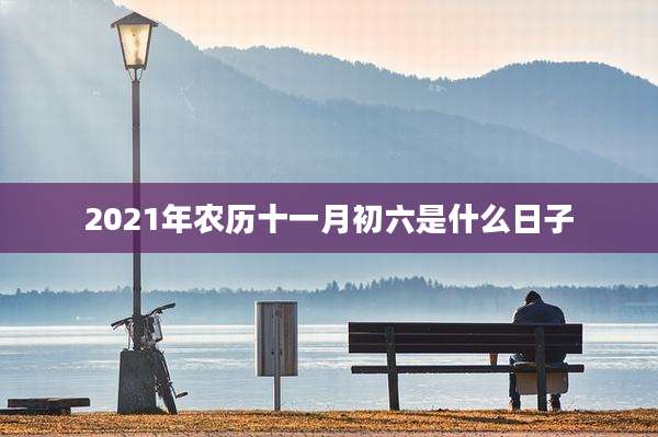 2021年农历十一月初六是什么日子
