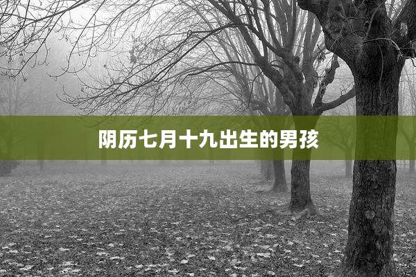 阴历七月十九出生的男孩