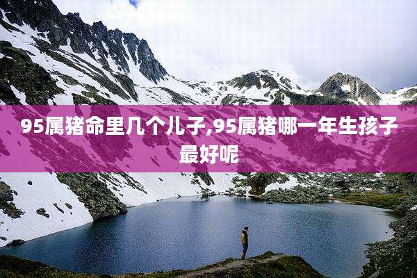 95属猪命里几个儿子,95属猪哪一年生孩子最好呢
