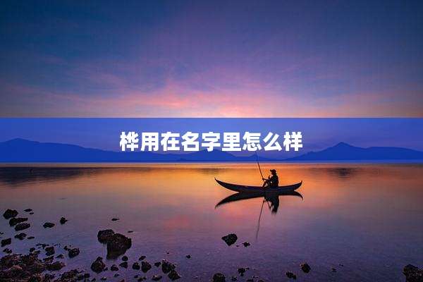 桦用在名字里怎么样