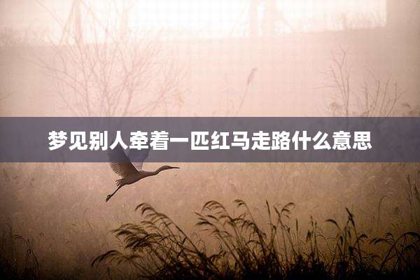 梦见别人牵着一匹红马走路什么意思