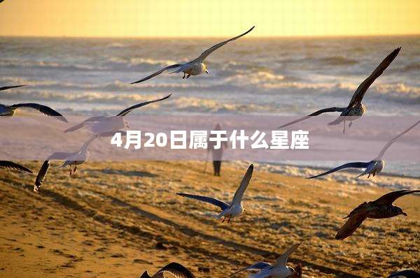 4月20日属于什么星座