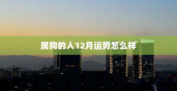 属狗的人12月运势怎么样