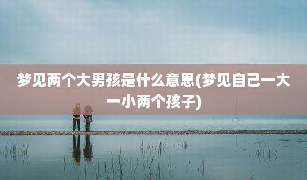 梦见两个大男孩是什么意思(梦见自己一大一小两个孩子)