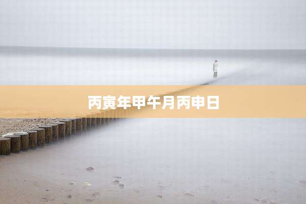 丙寅年甲午月丙申日