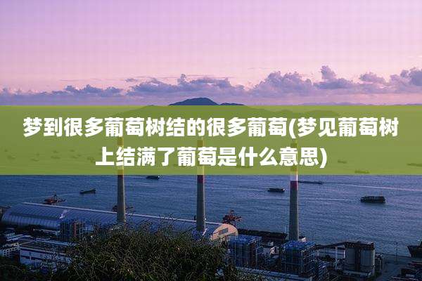 梦到很多葡萄树结的很多葡萄(梦见葡萄树上结满了葡萄是什么意思)