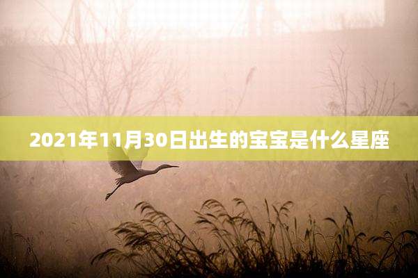 2021年11月30日出生的宝宝是什么星座
