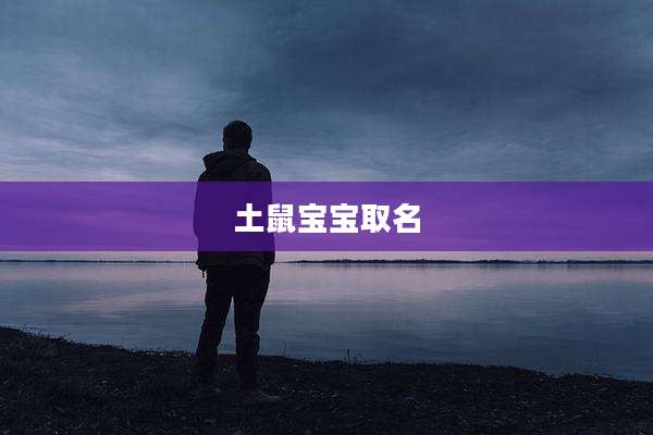 土鼠宝宝取名