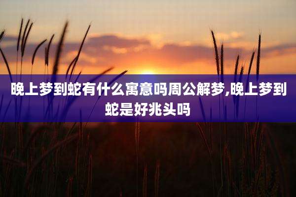 晚上梦到蛇有什么寓意吗周公解梦,晚上梦到蛇是好兆头吗