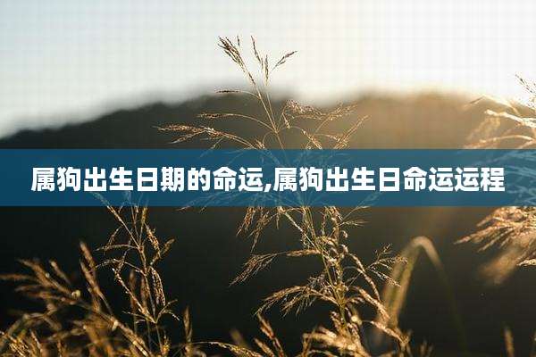 属狗出生日期的命运,属狗出生日命运运程