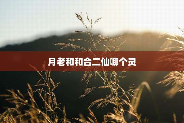 月老和和合二仙哪个灵
