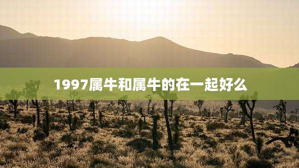 1997属牛和属牛的在一起好么