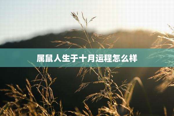 属鼠人生于十月运程怎么样